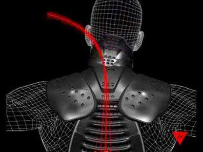 Protezione Dainese neck 6